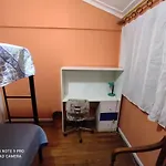 Gatos de campo